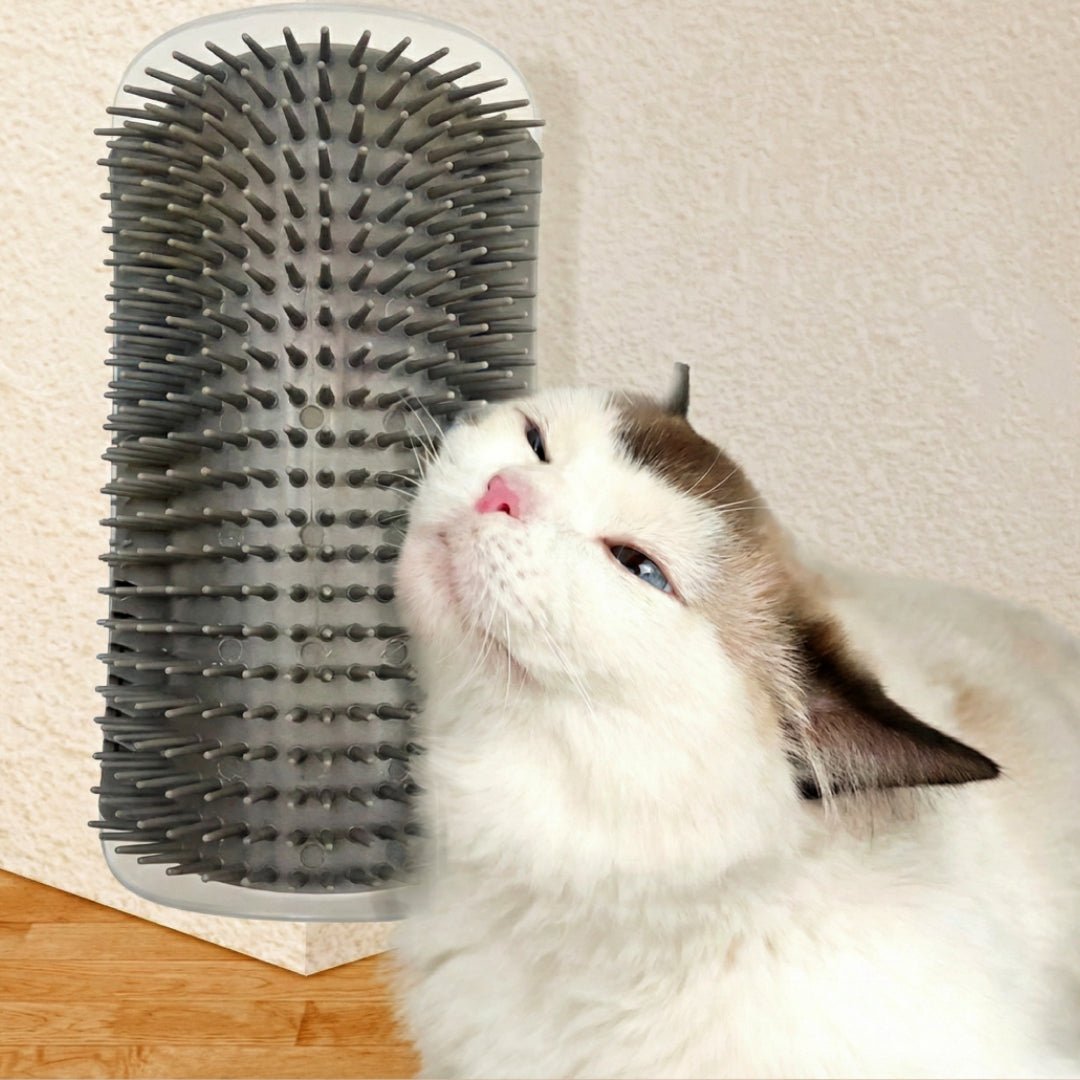 KociKącik™ - CutePET