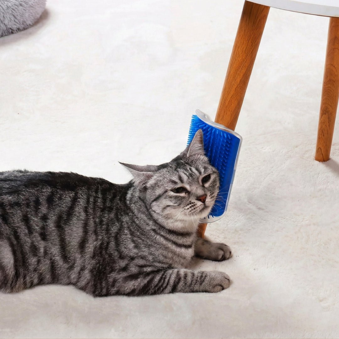 KociKącik™ - CutePET