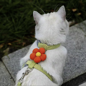 KwiatoSzelki™ - CutePET