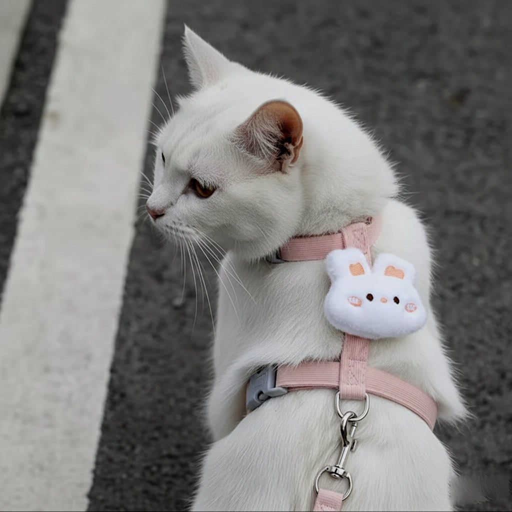 KwiatoSzelki™ - CutePET