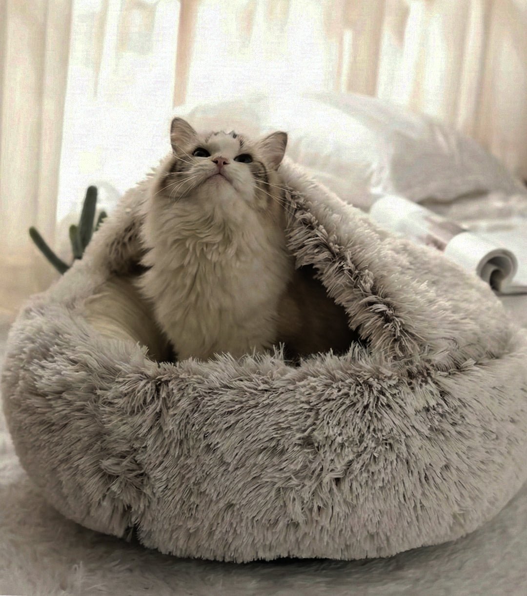 Pluszowe IGLO - CutePET