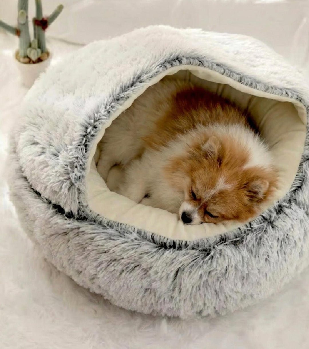 Pluszowe IGLO - CutePET