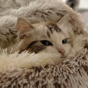 Pluszowe IGLO™ - Legowisko dla zwierząt - CutePET