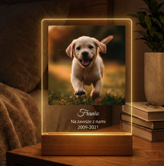 Pupil na Zawsze™ – personalizowana pamiątka po pupilu - CutePET