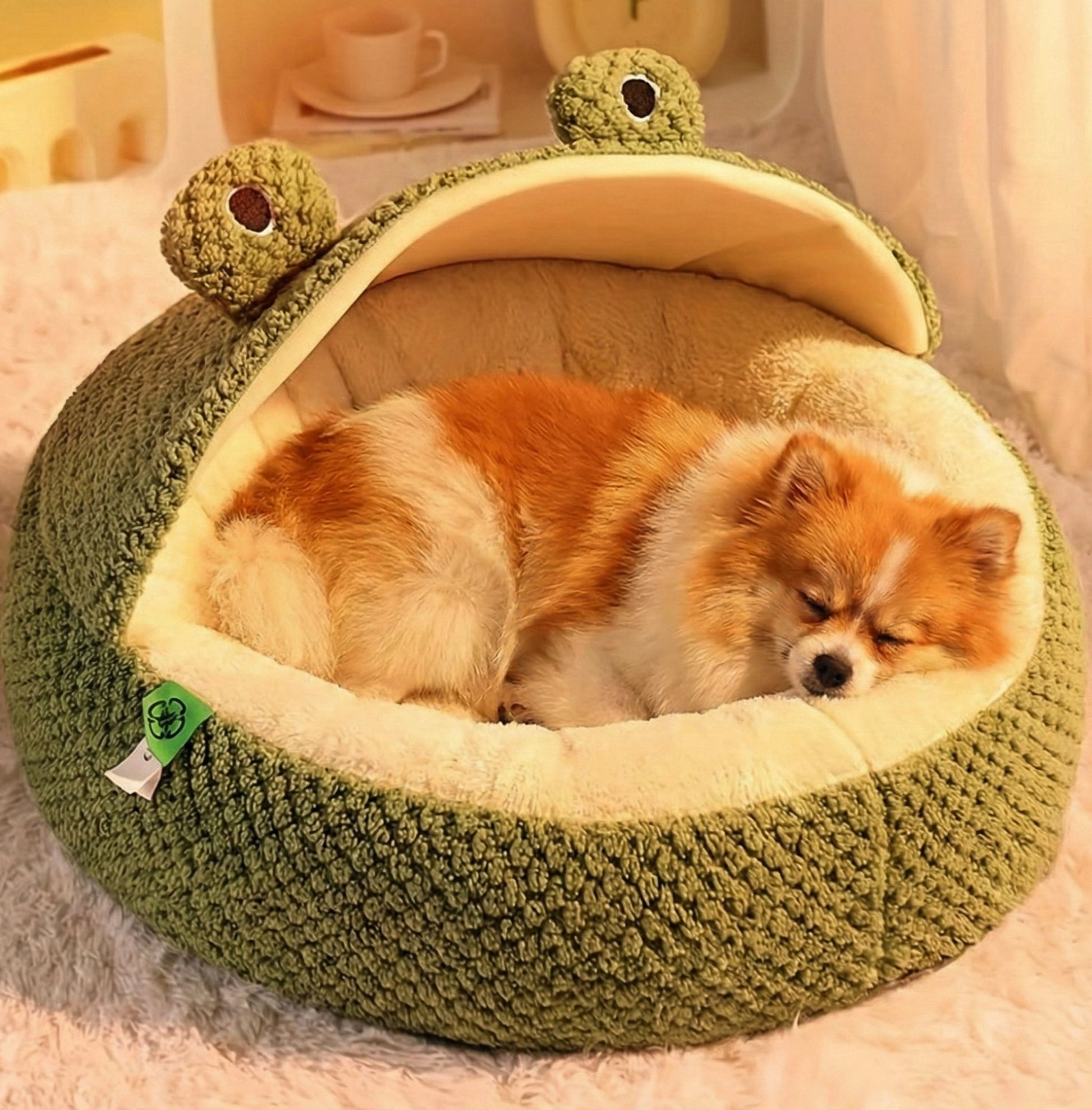 ŻabciaSpanko™ - CutePET